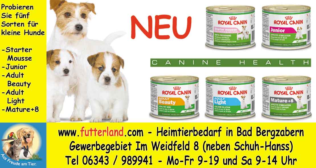 Pfalz-Echo-2013-01-21