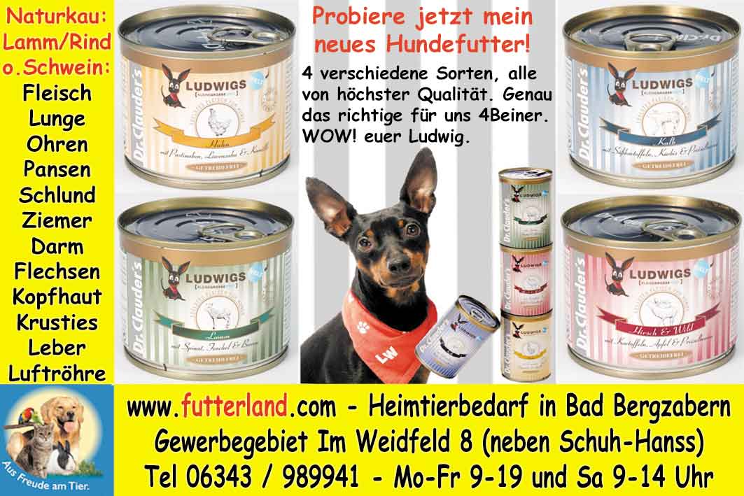 S&uuml;dpfalz-Kurier-2012-08-15