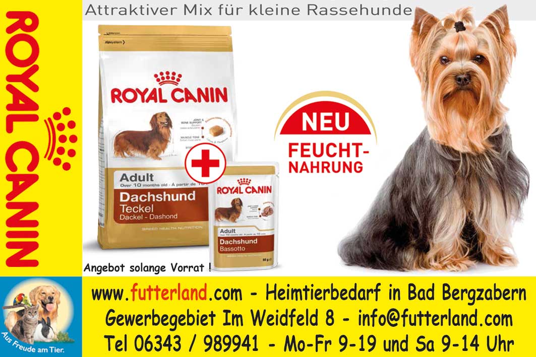 Nassfutter f&uuml;r Rassehunde