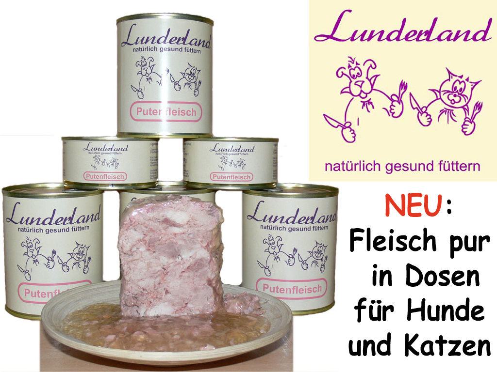 Angebot-Rogz-Fruehling