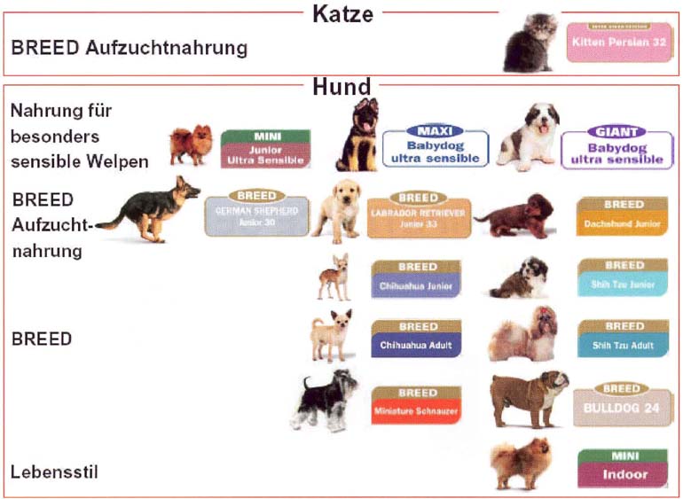 Competence Produkte
