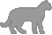 Renske Cat