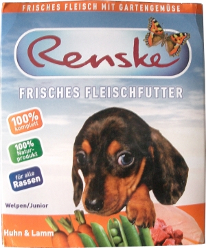 Renske Dog Puppy