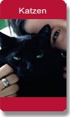 Katzen