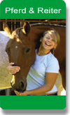 Pferd & Reiter
