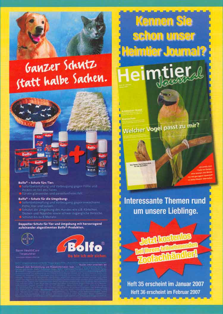 Seite 6